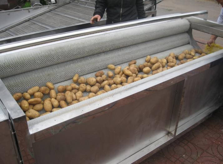 土豆毛輥清洗機